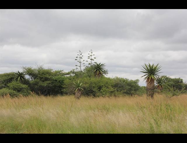 23HA VACANT LAND FOR SALE IN BENDOR
